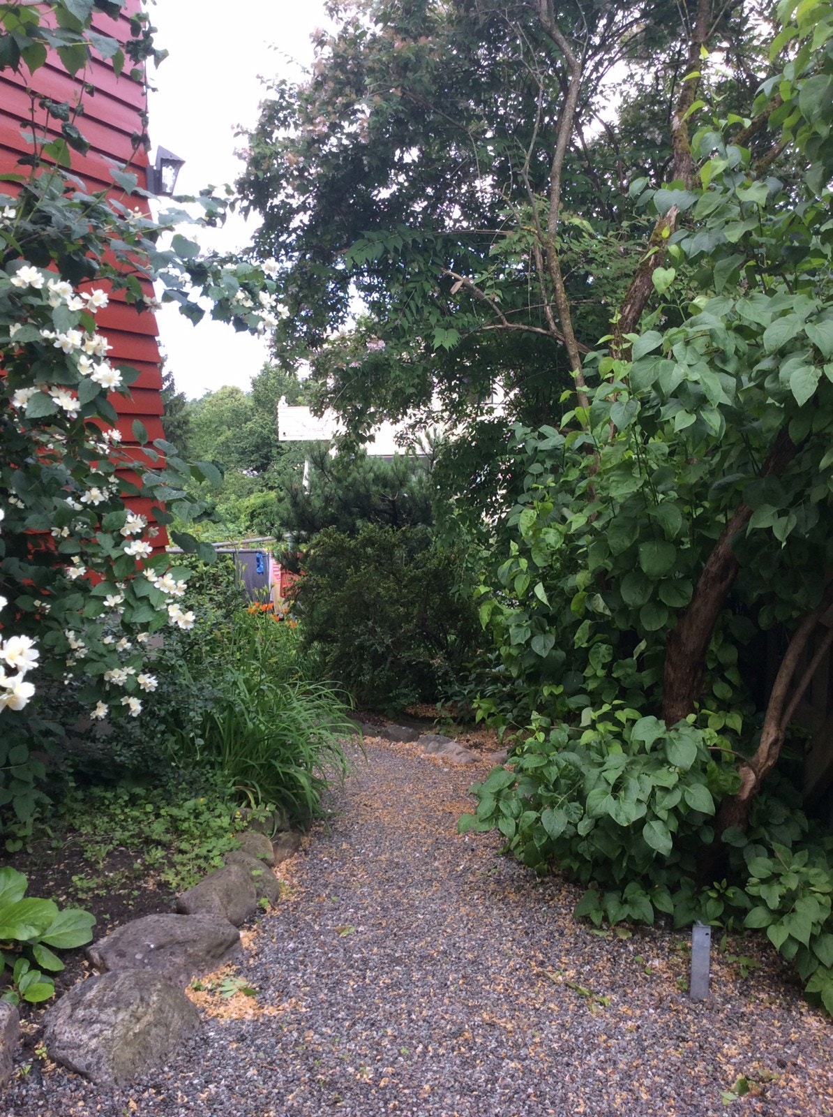 Veien som går ned til vaskerommet. Galleribilde