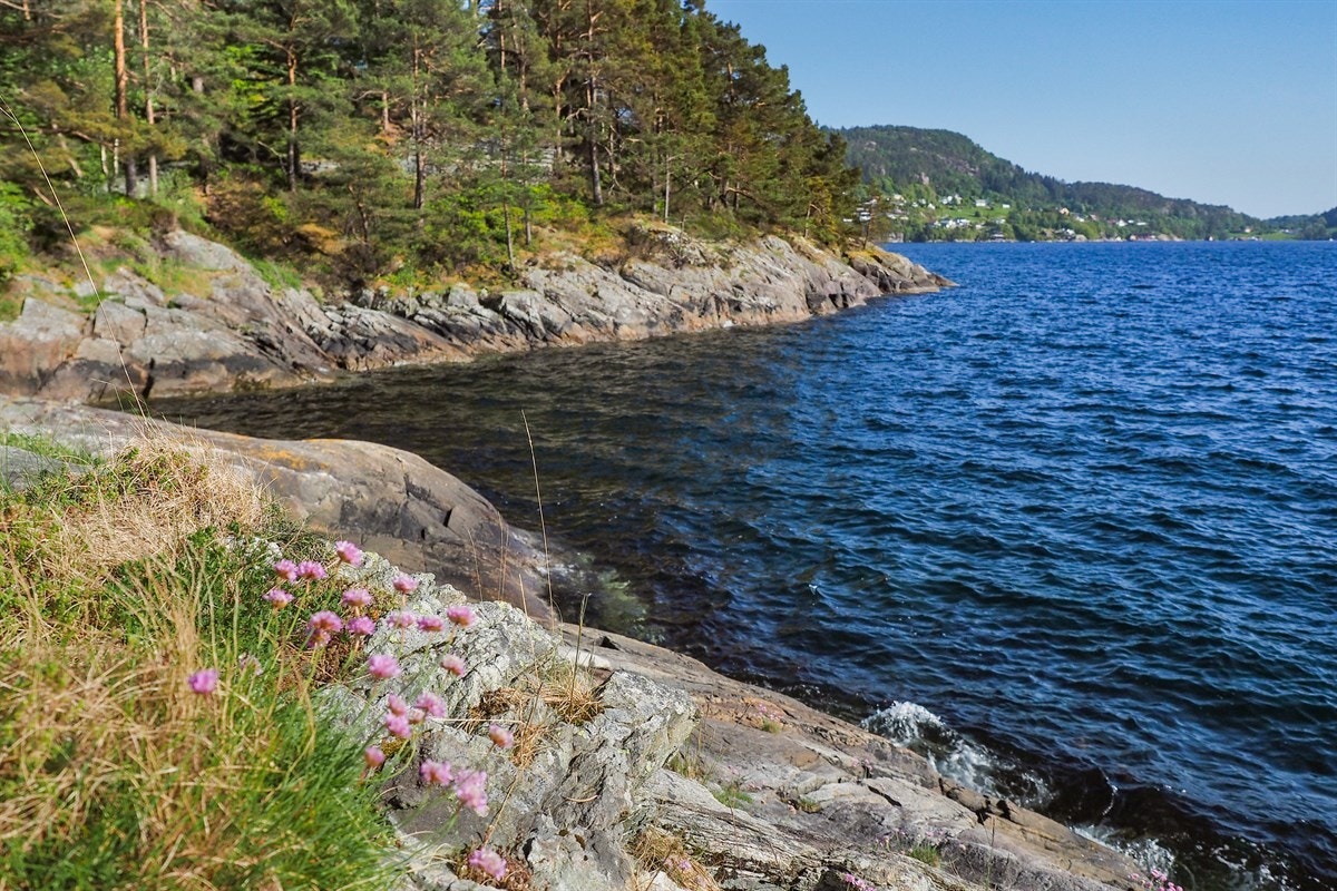 Proaktiv Eiendomsmegling Galleribilde
