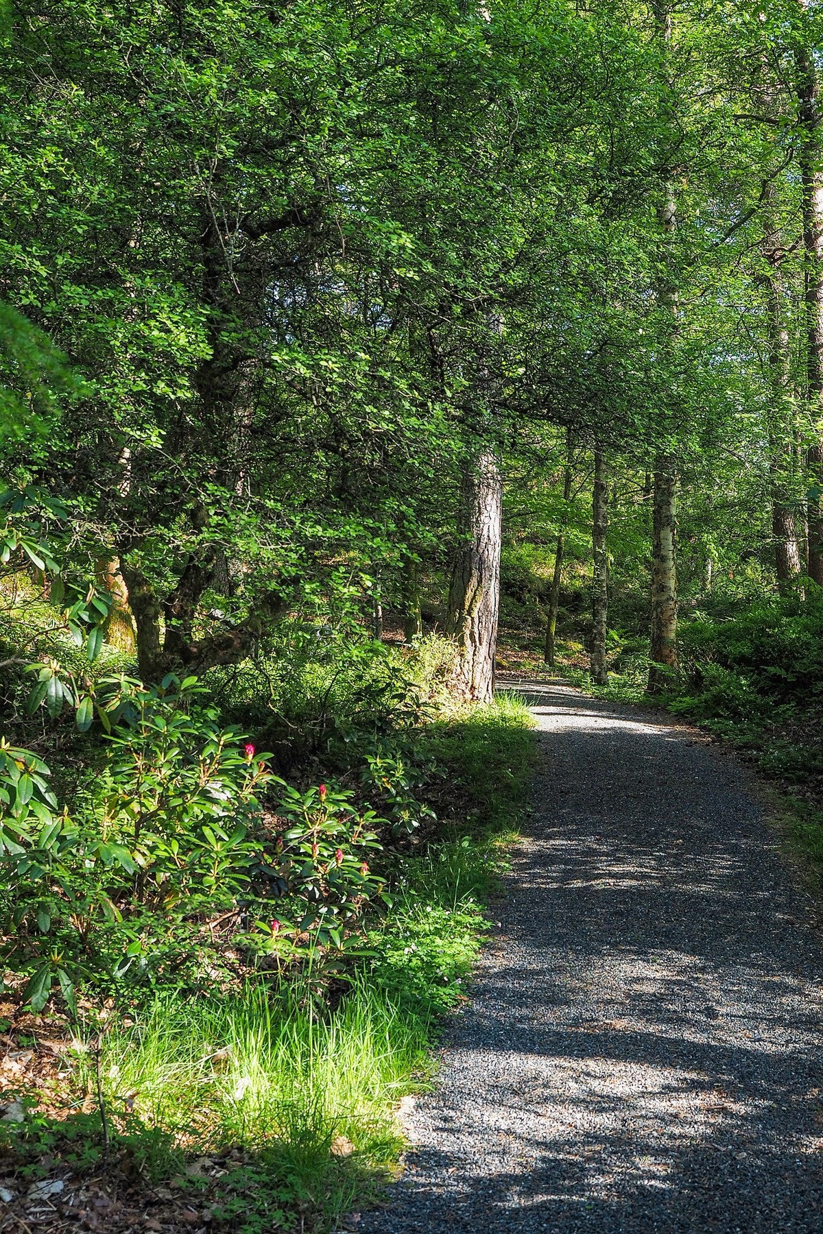 Proaktiv Eiendomsmegling Galleribilde