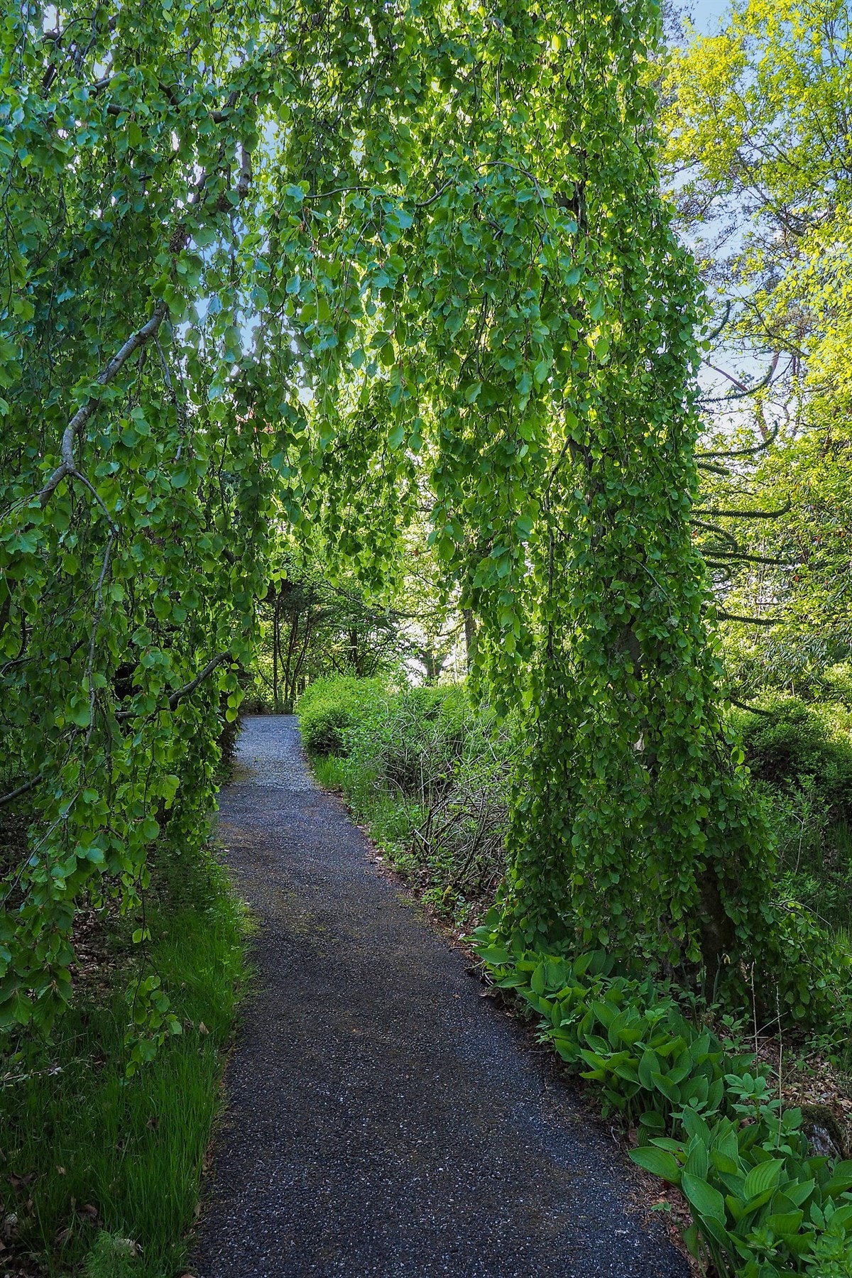 Proaktiv Eiendomsmegling Galleribilde