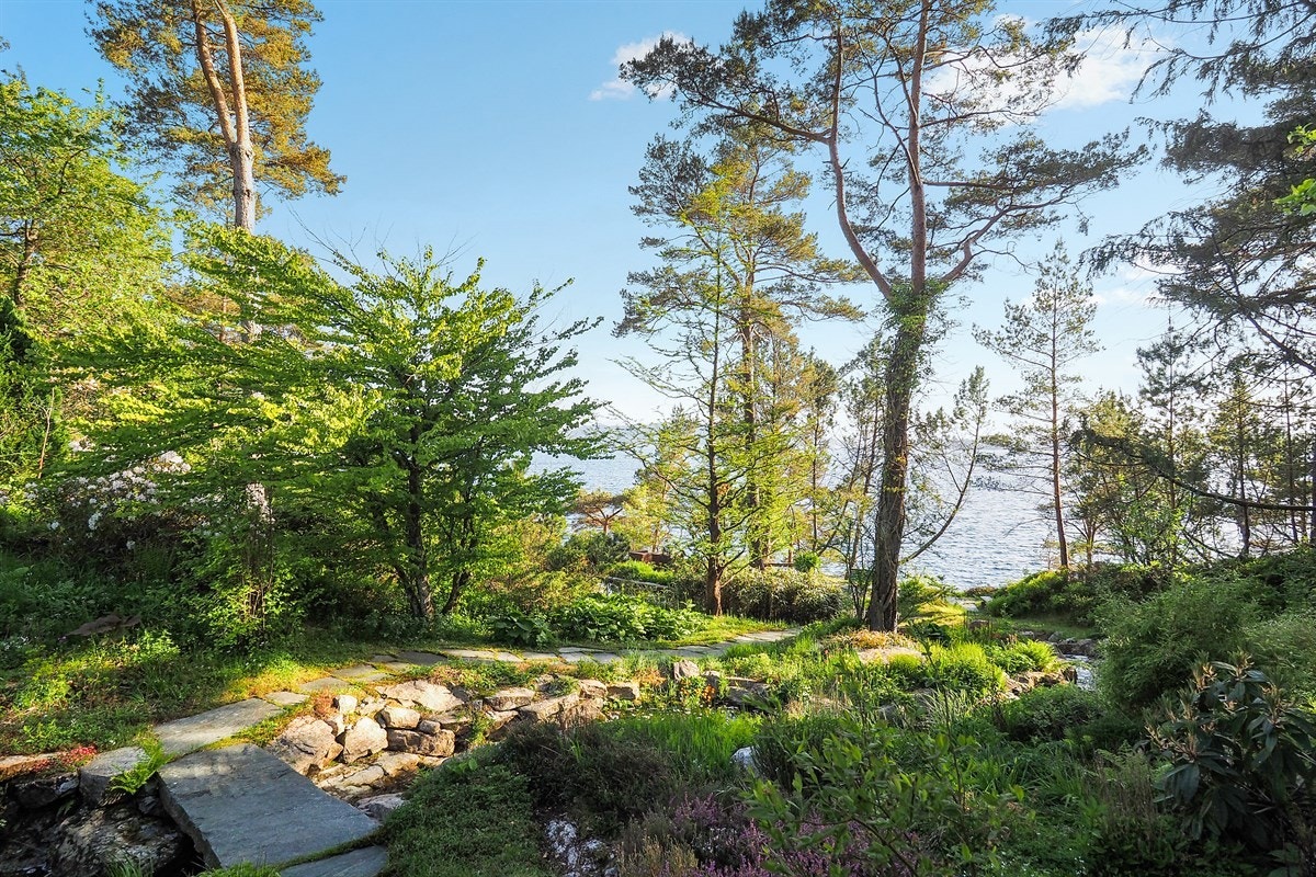 Proaktiv Eiendomsmegling Galleribilde