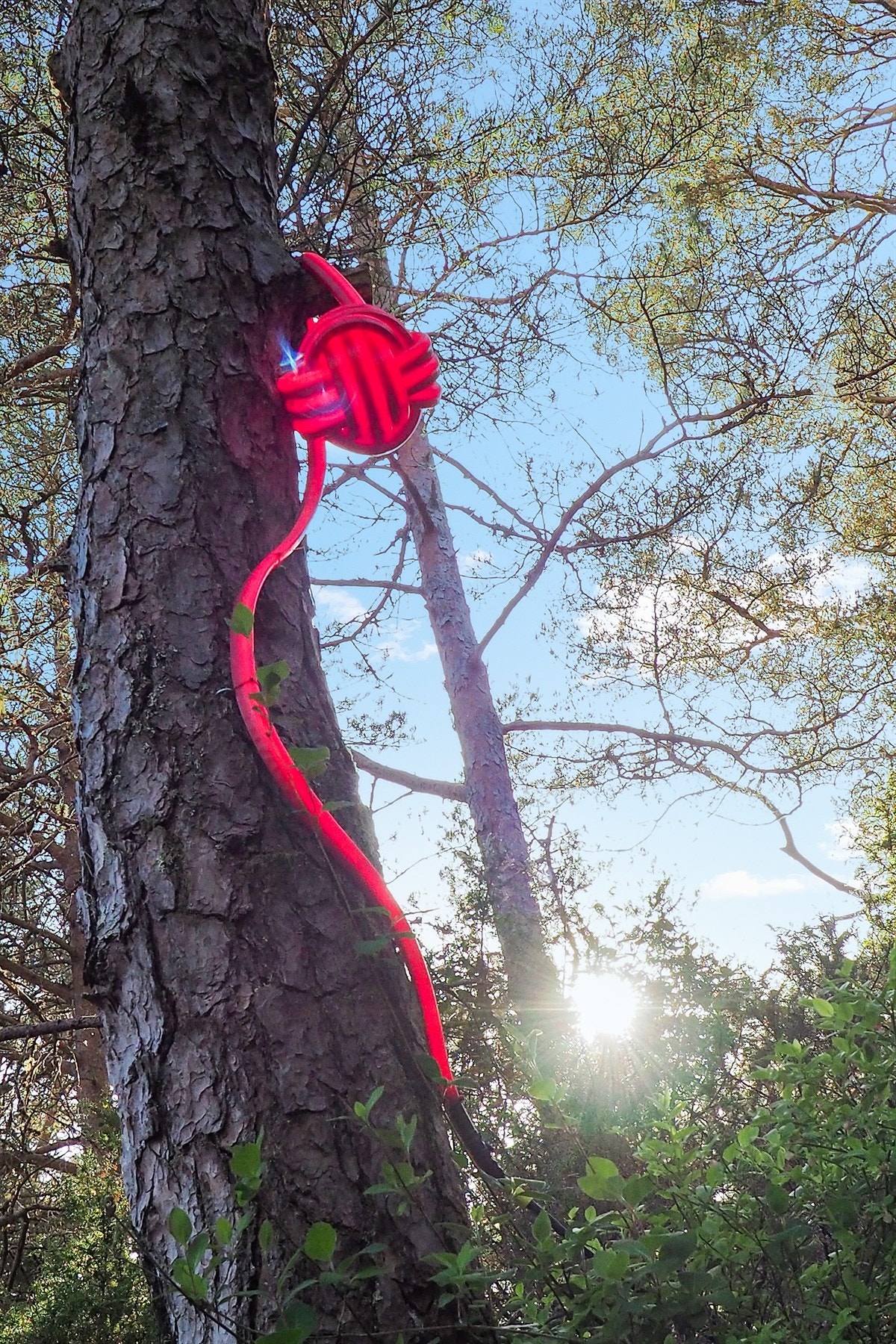 Proaktiv Eiendomsmegling Galleribilde