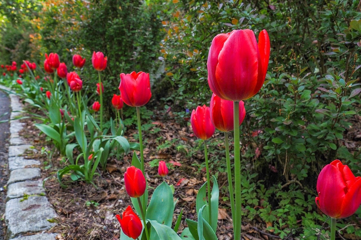 Proaktiv Eiendomsmegling Galleribilde