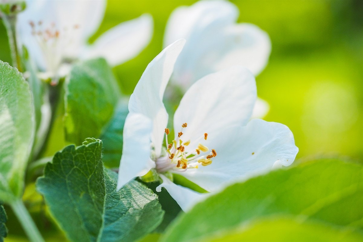 Proaktiv Eiendomsmegling Galleribilde