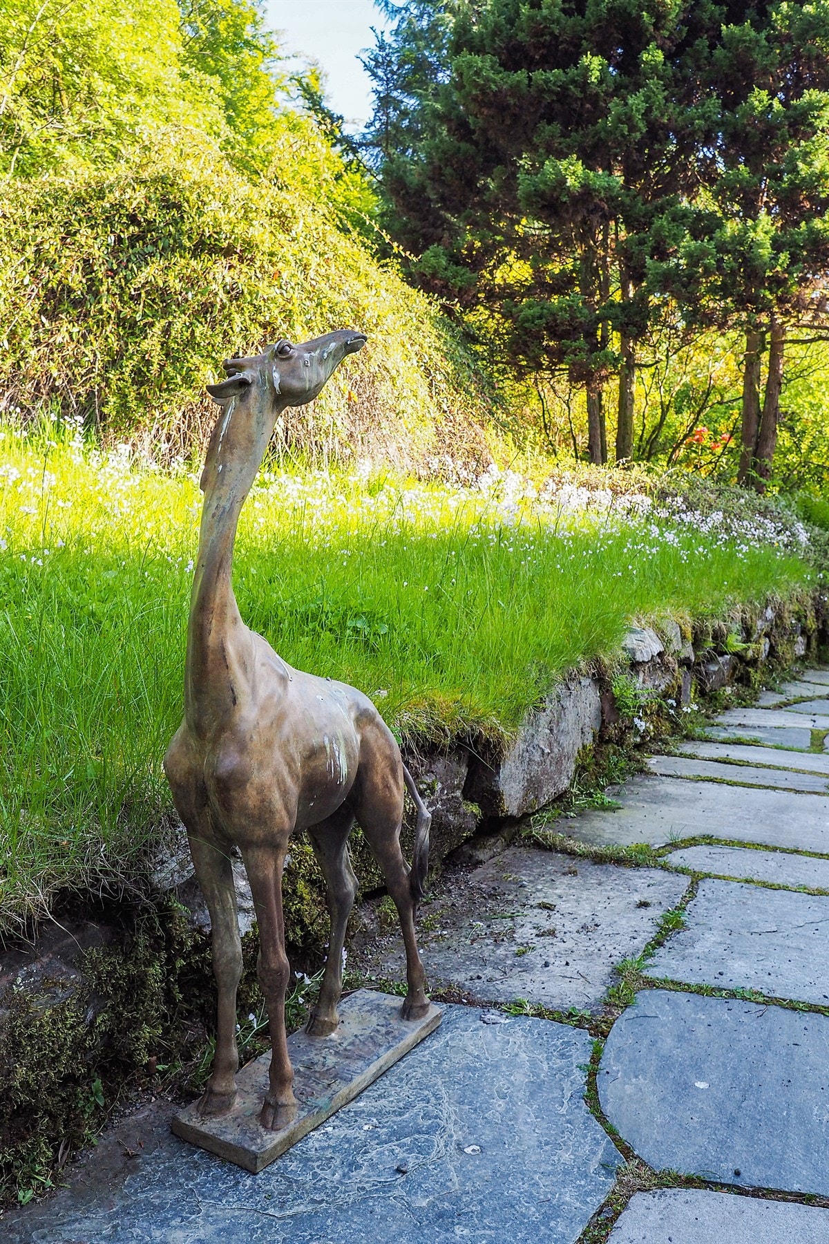 Proaktiv Eiendomsmegling Galleribilde
