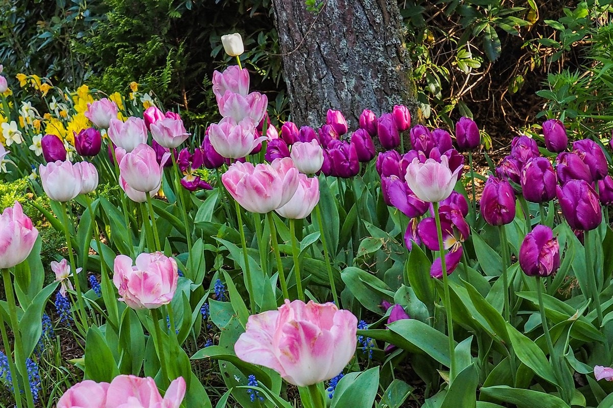 Proaktiv Eiendomsmegling Galleribilde