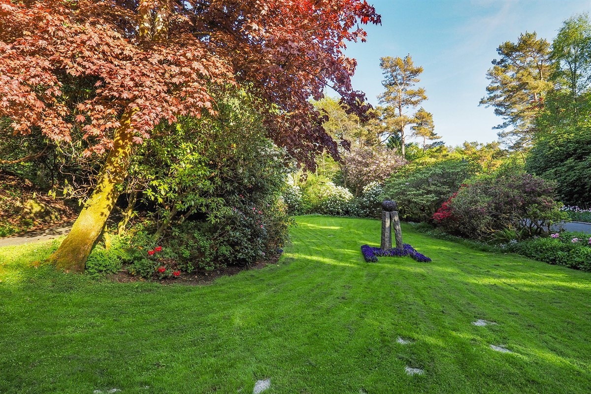 Proaktiv Eiendomsmegling Galleribilde