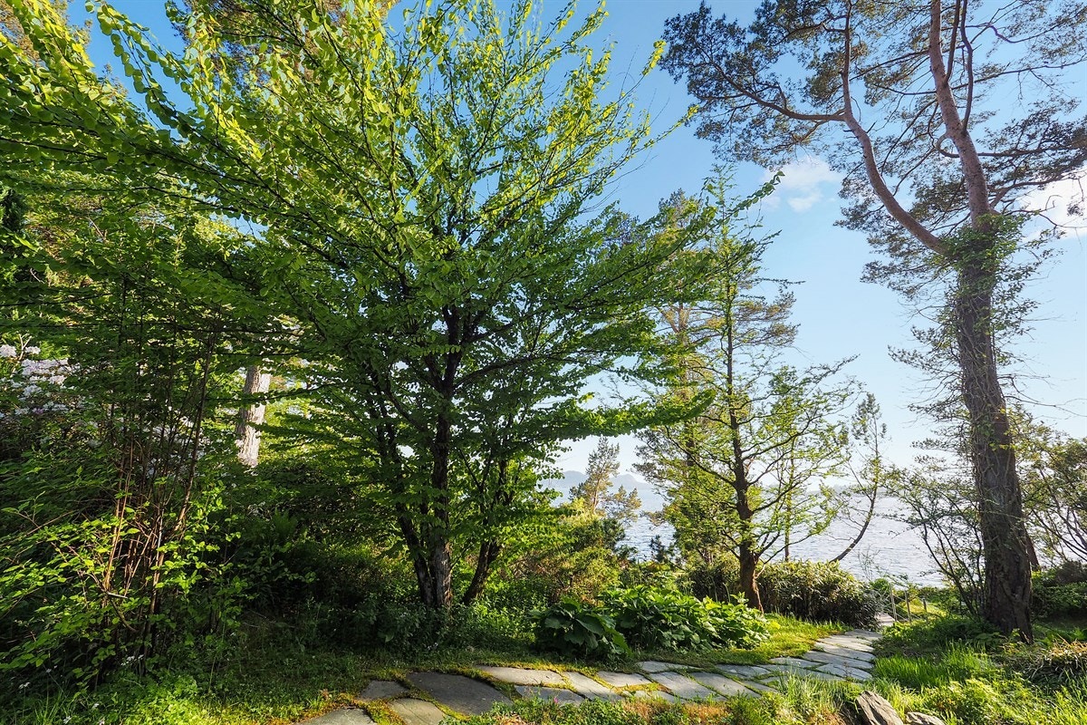 Proaktiv Eiendomsmegling Galleribilde