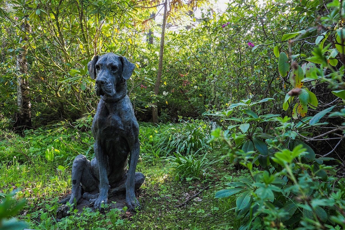 Proaktiv Eiendomsmegling Galleribilde