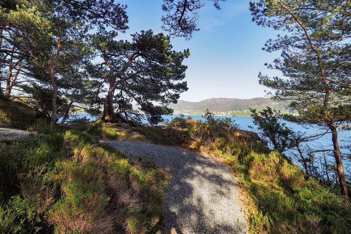 Proaktiv Eiendomsmegling Galleribilde