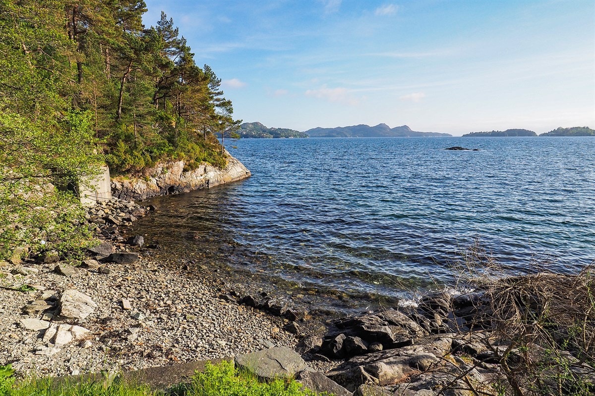 Proaktiv Eiendomsmegling Galleribilde