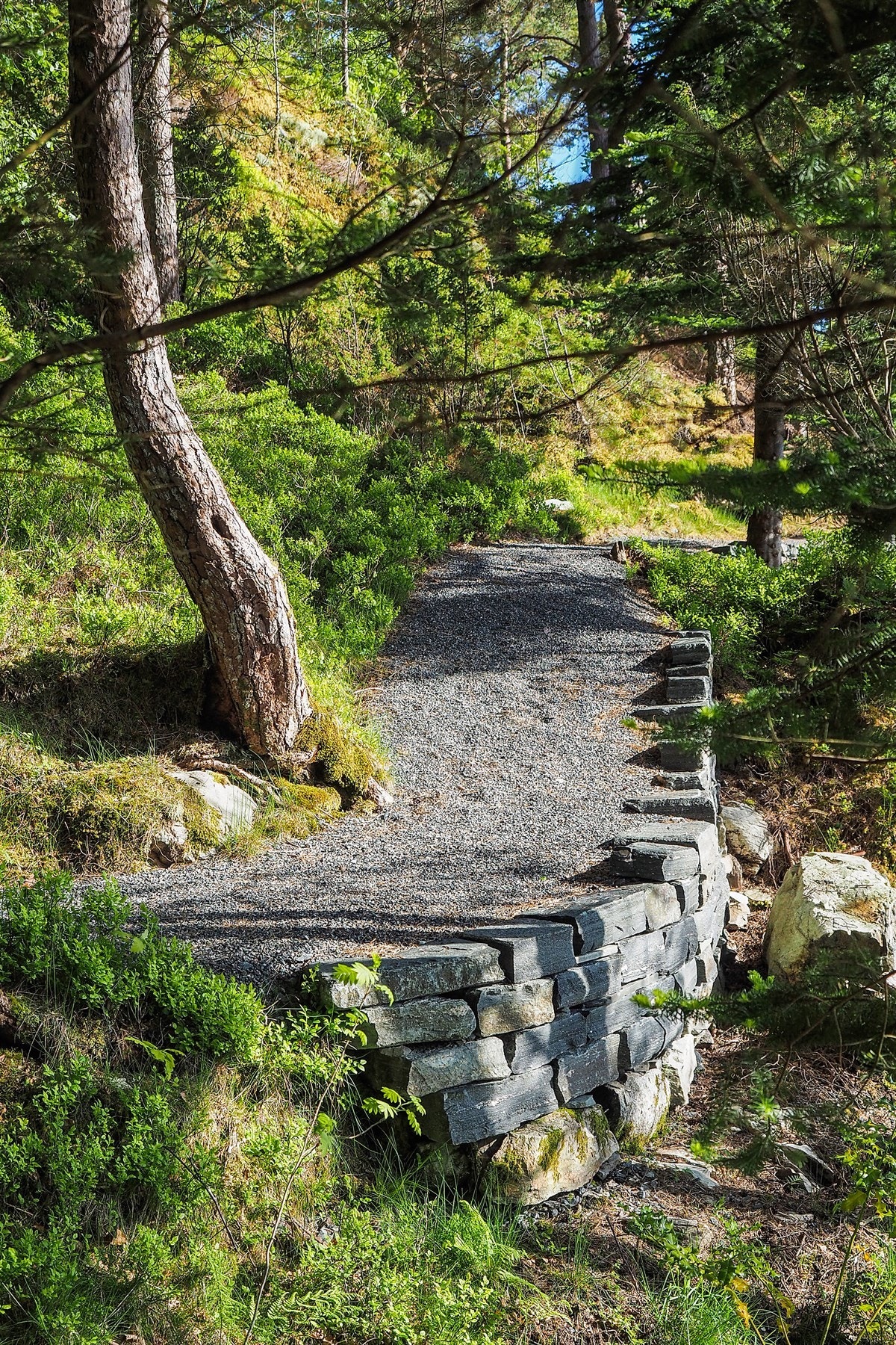 Proaktiv Eiendomsmegling Galleribilde