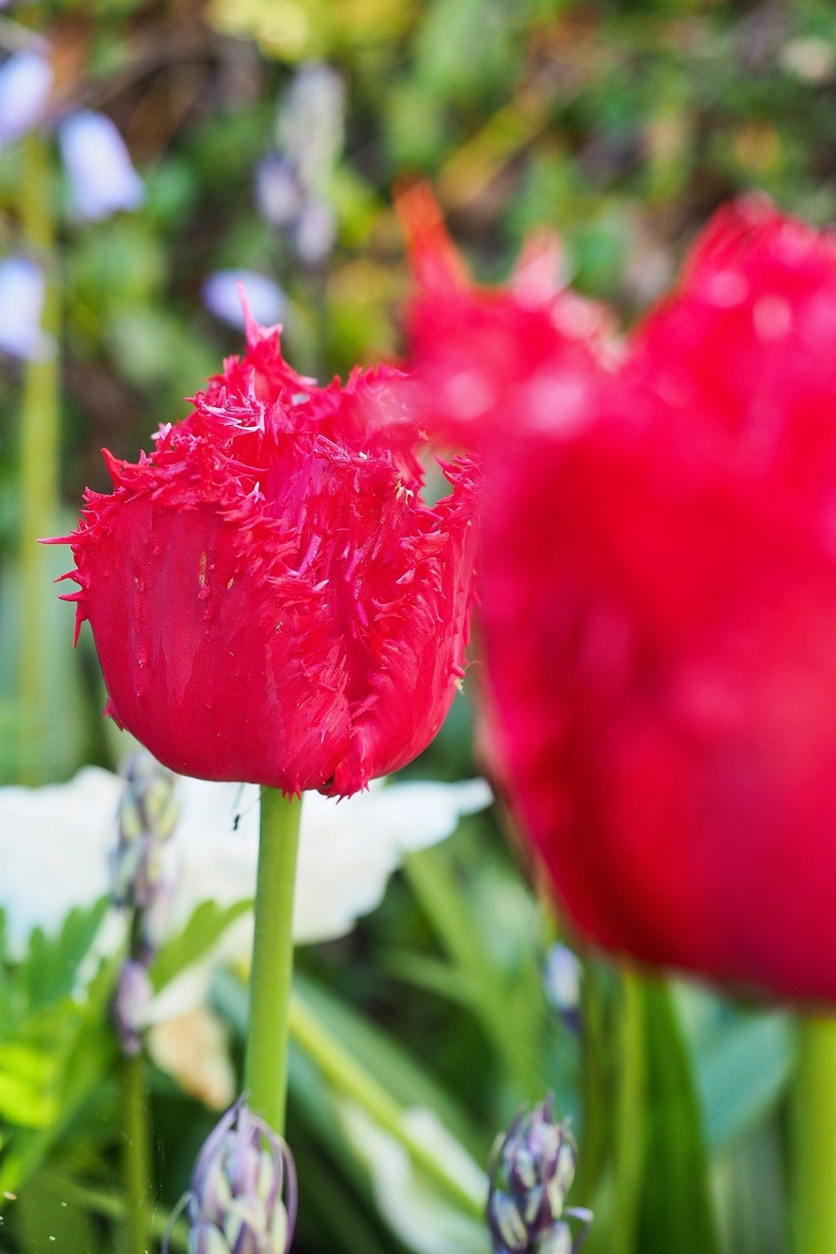 Proaktiv Eiendomsmegling Galleribilde