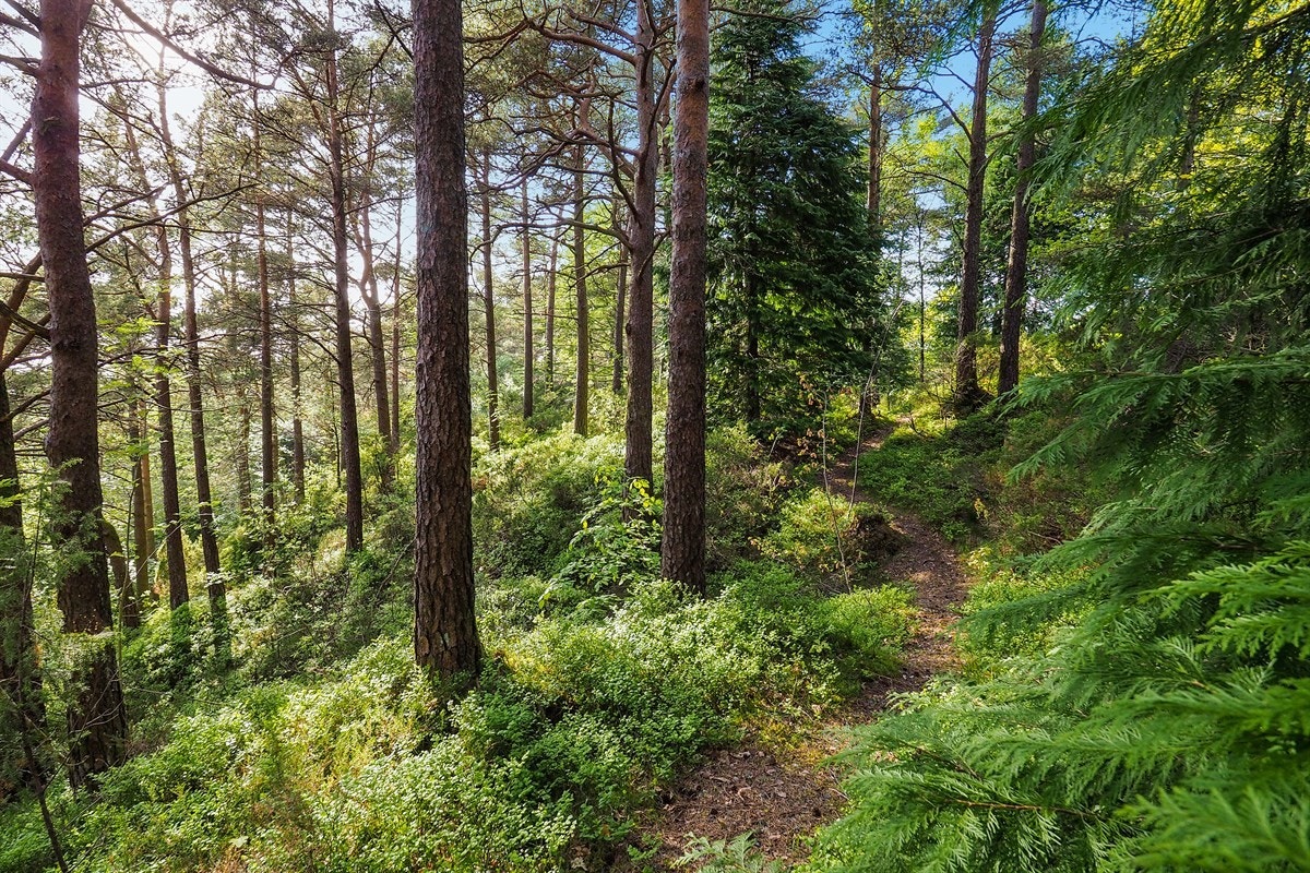 Proaktiv Eiendomsmegling Galleribilde