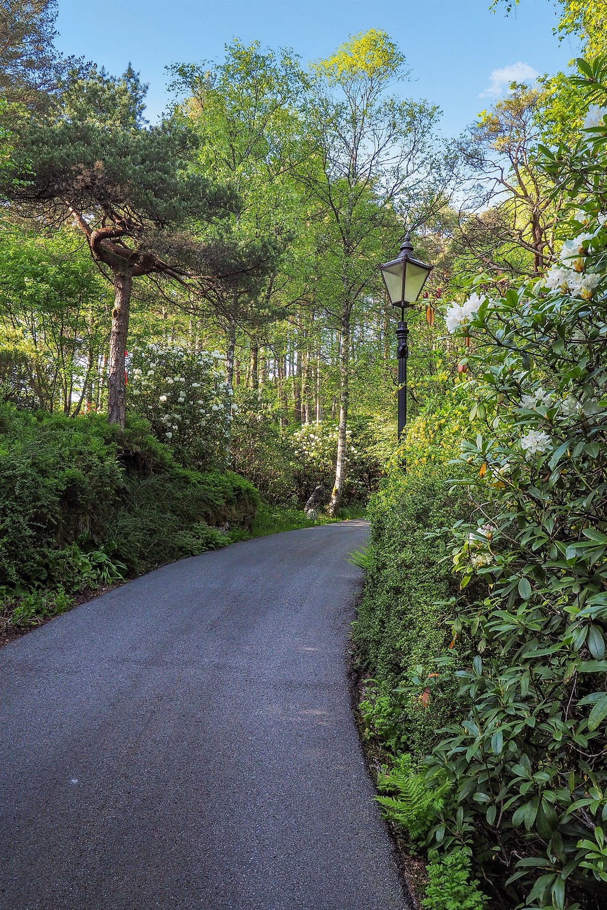 Proaktiv Eiendomsmegling Galleribilde
