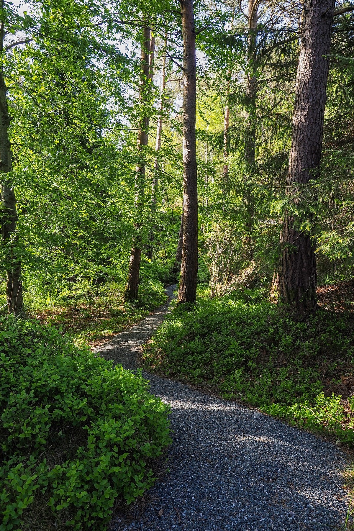 Proaktiv Eiendomsmegling Galleribilde
