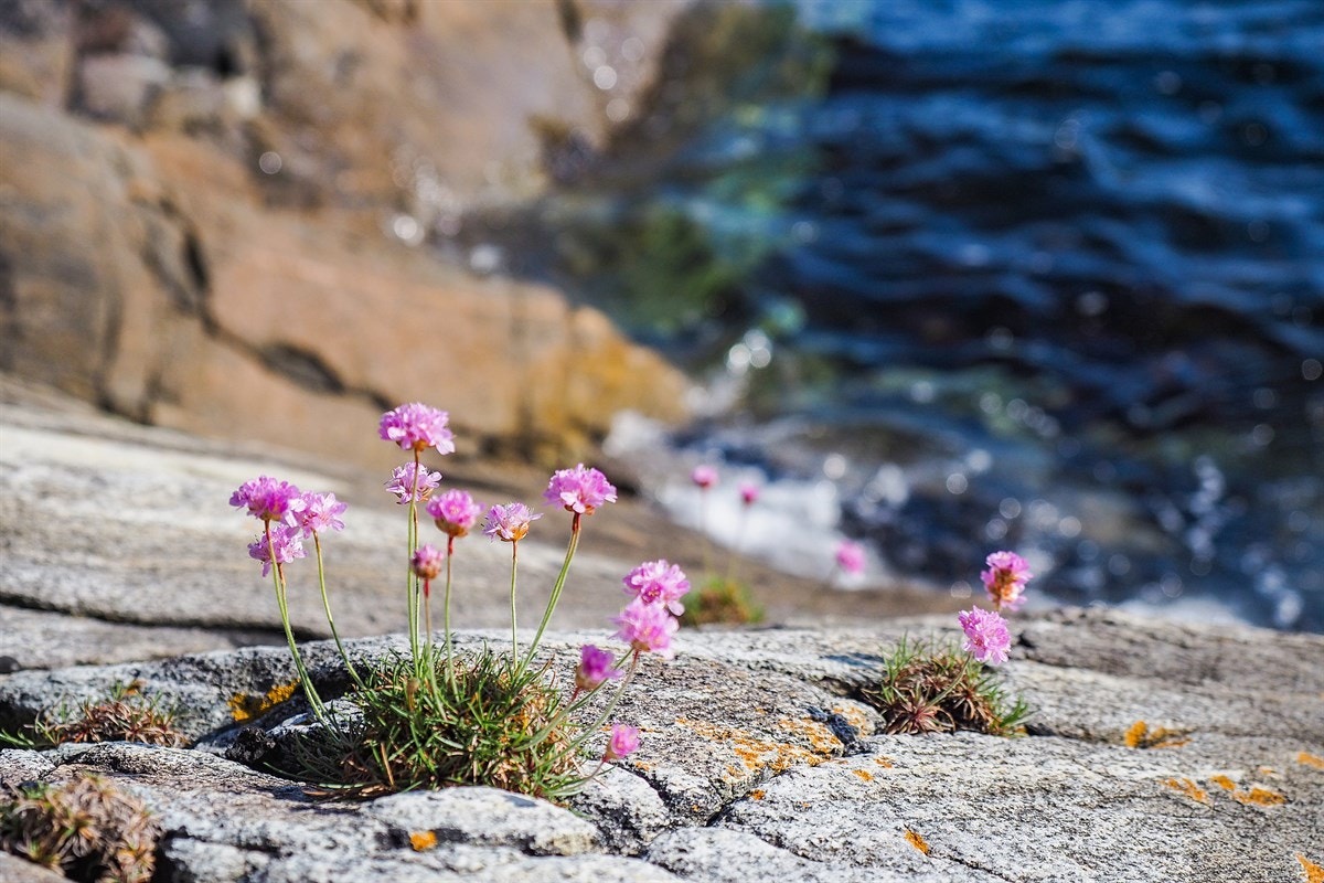 Proaktiv Eiendomsmegling Galleribilde