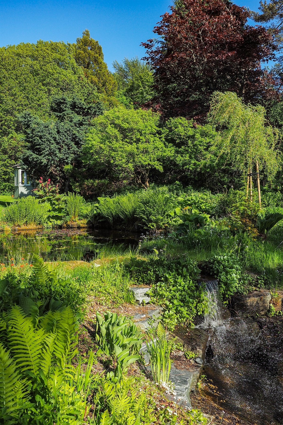 Proaktiv Eiendomsmegling Galleribilde