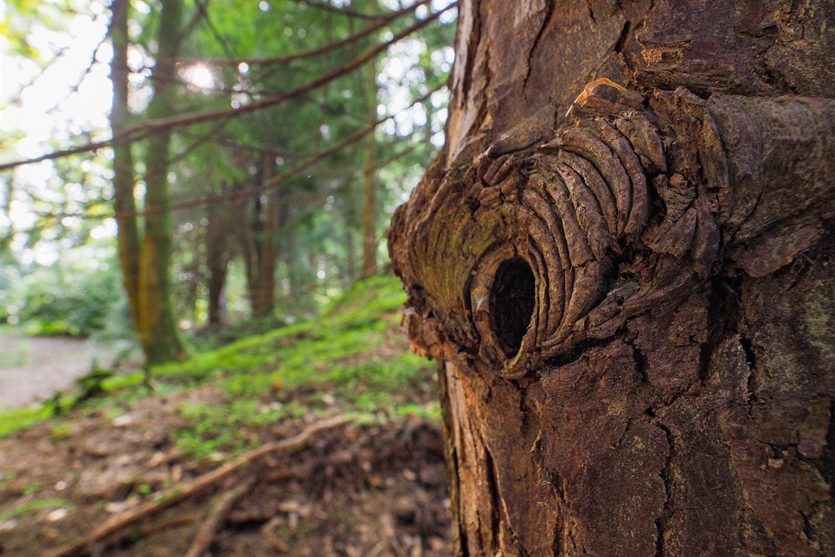 Proaktiv Eiendomsmegling Galleribilde