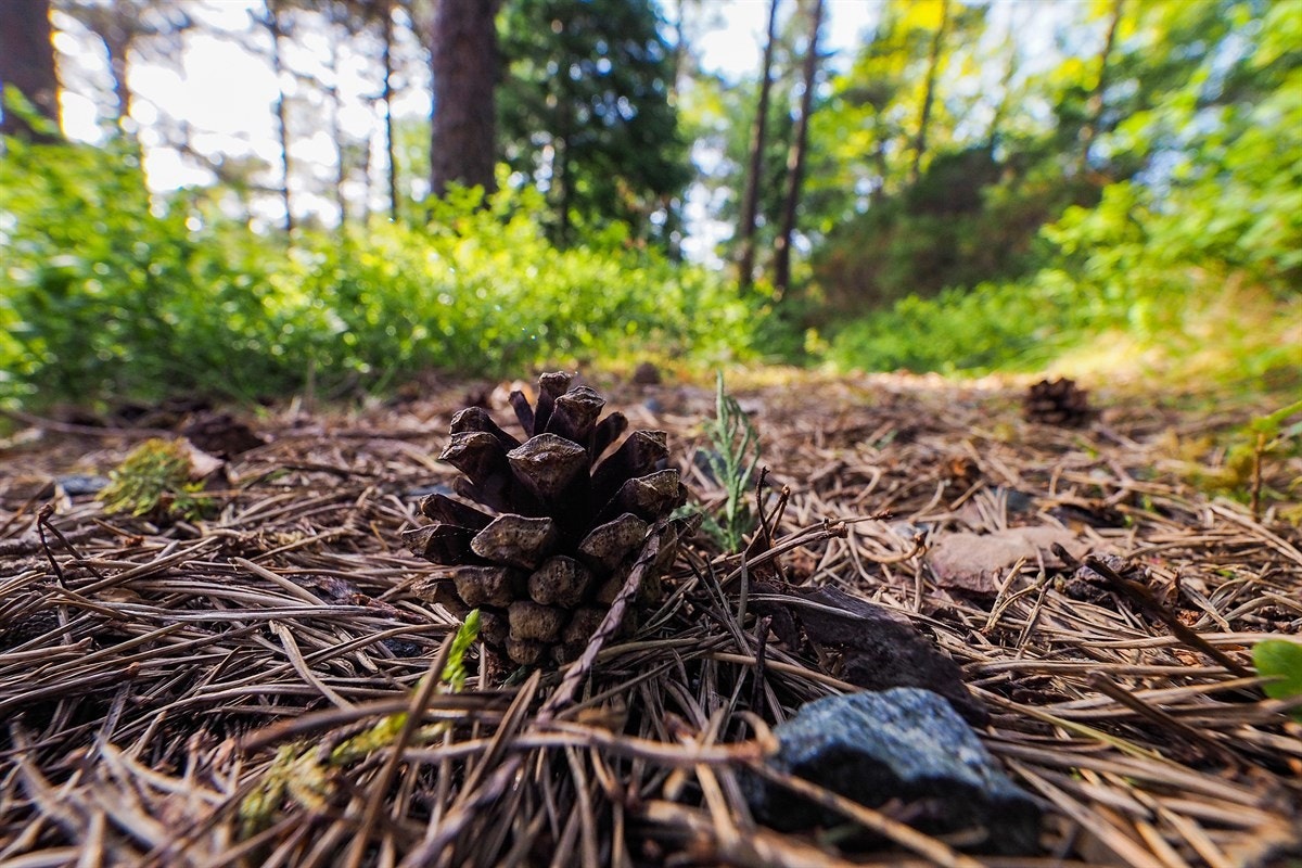 Proaktiv Eiendomsmegling Galleribilde