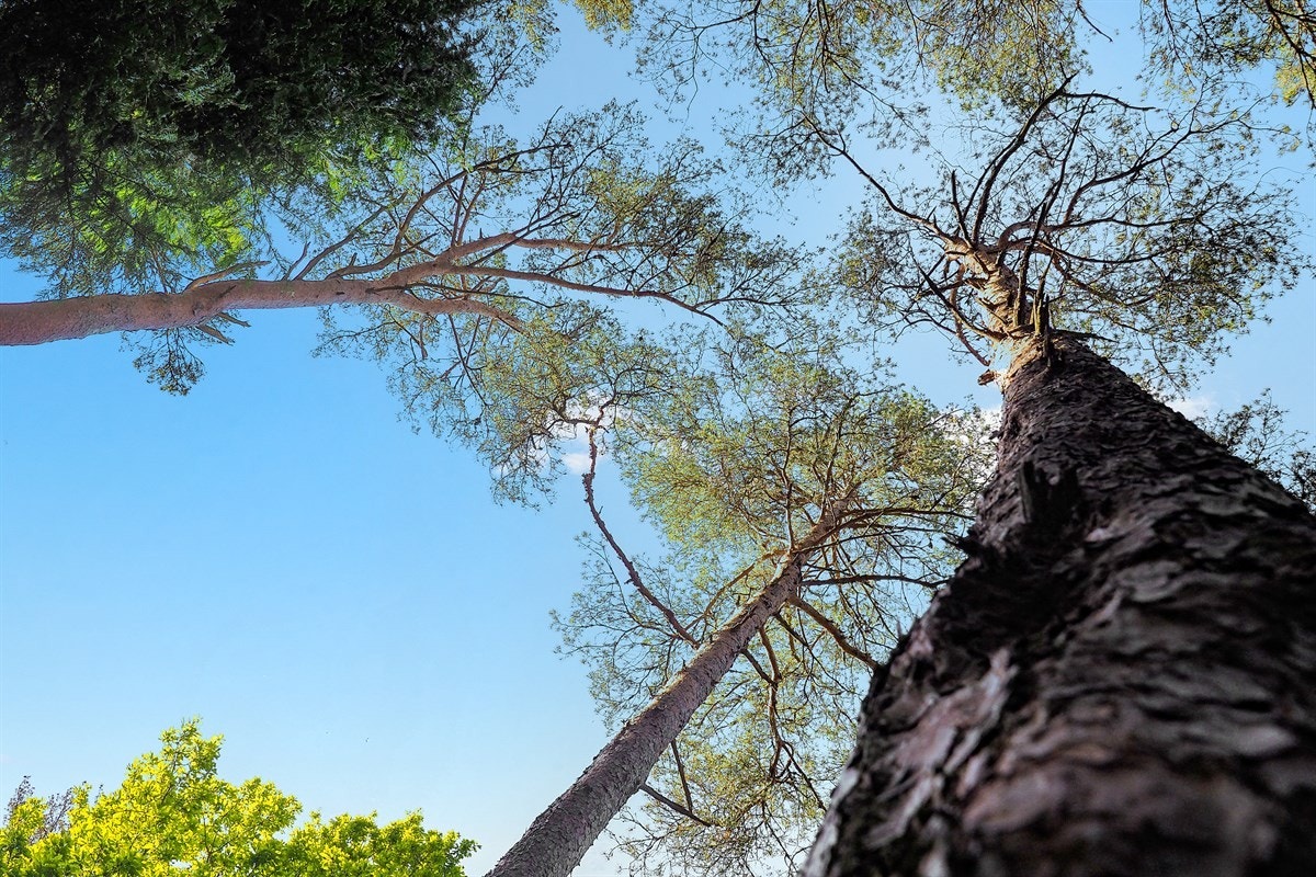 Proaktiv Eiendomsmegling Galleribilde