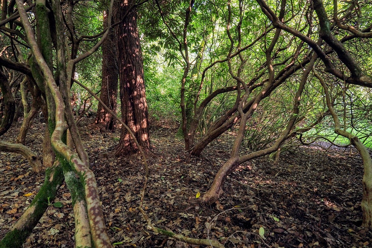 Proaktiv Eiendomsmegling Galleribilde