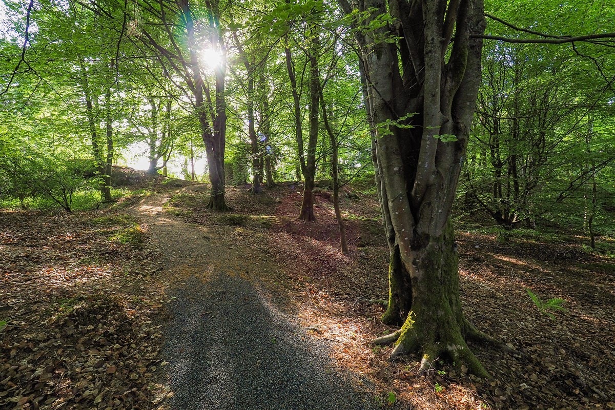 Proaktiv Eiendomsmegling Galleribilde