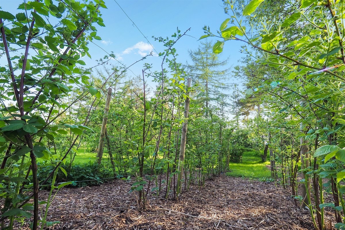 Proaktiv Eiendomsmegling Galleribilde