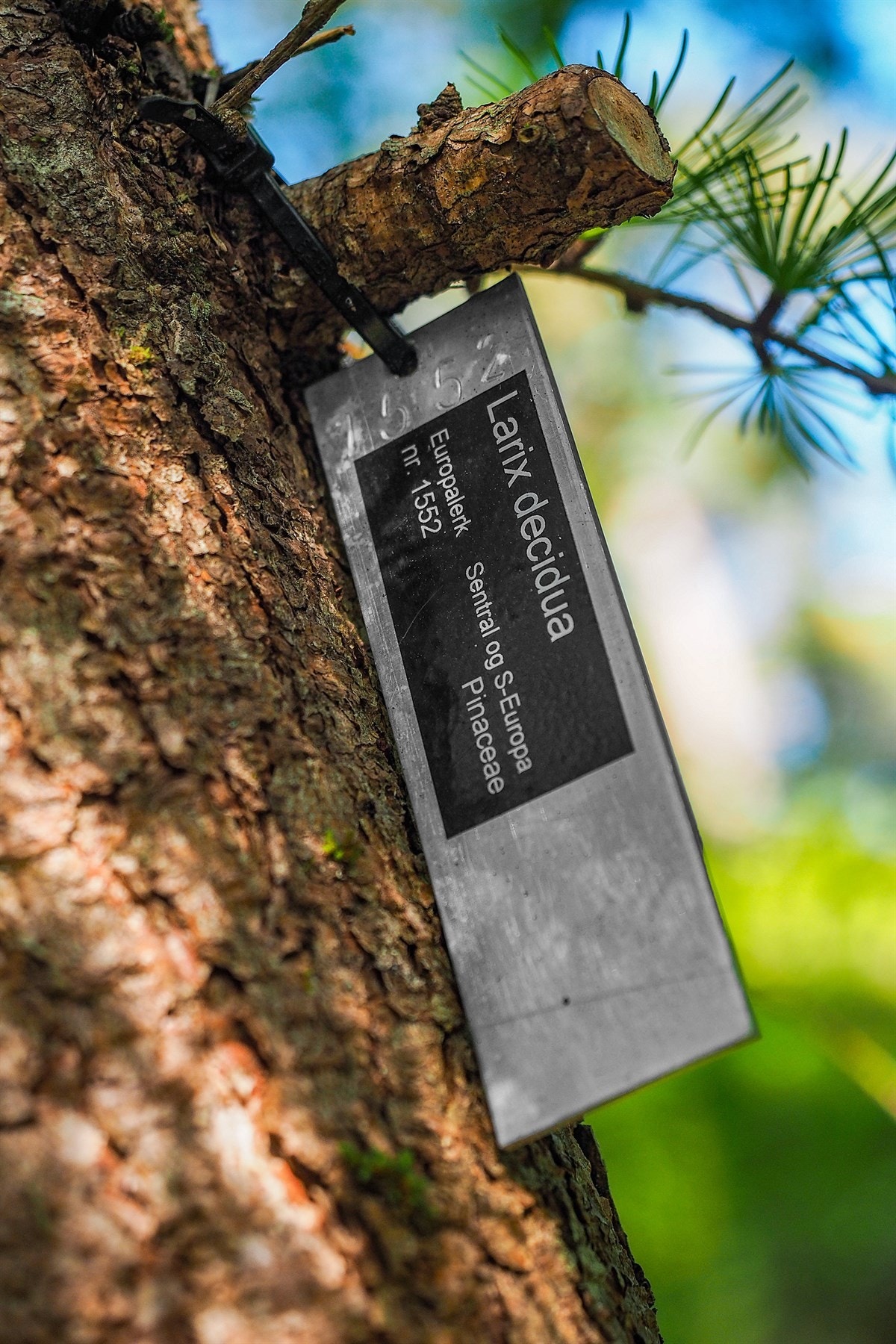 Proaktiv Eiendomsmegling Galleribilde