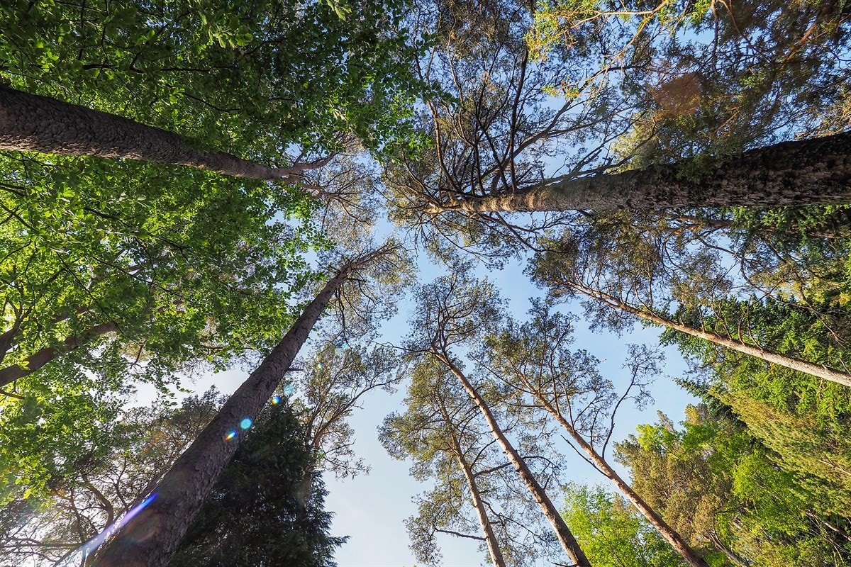 Proaktiv Eiendomsmegling Galleribilde