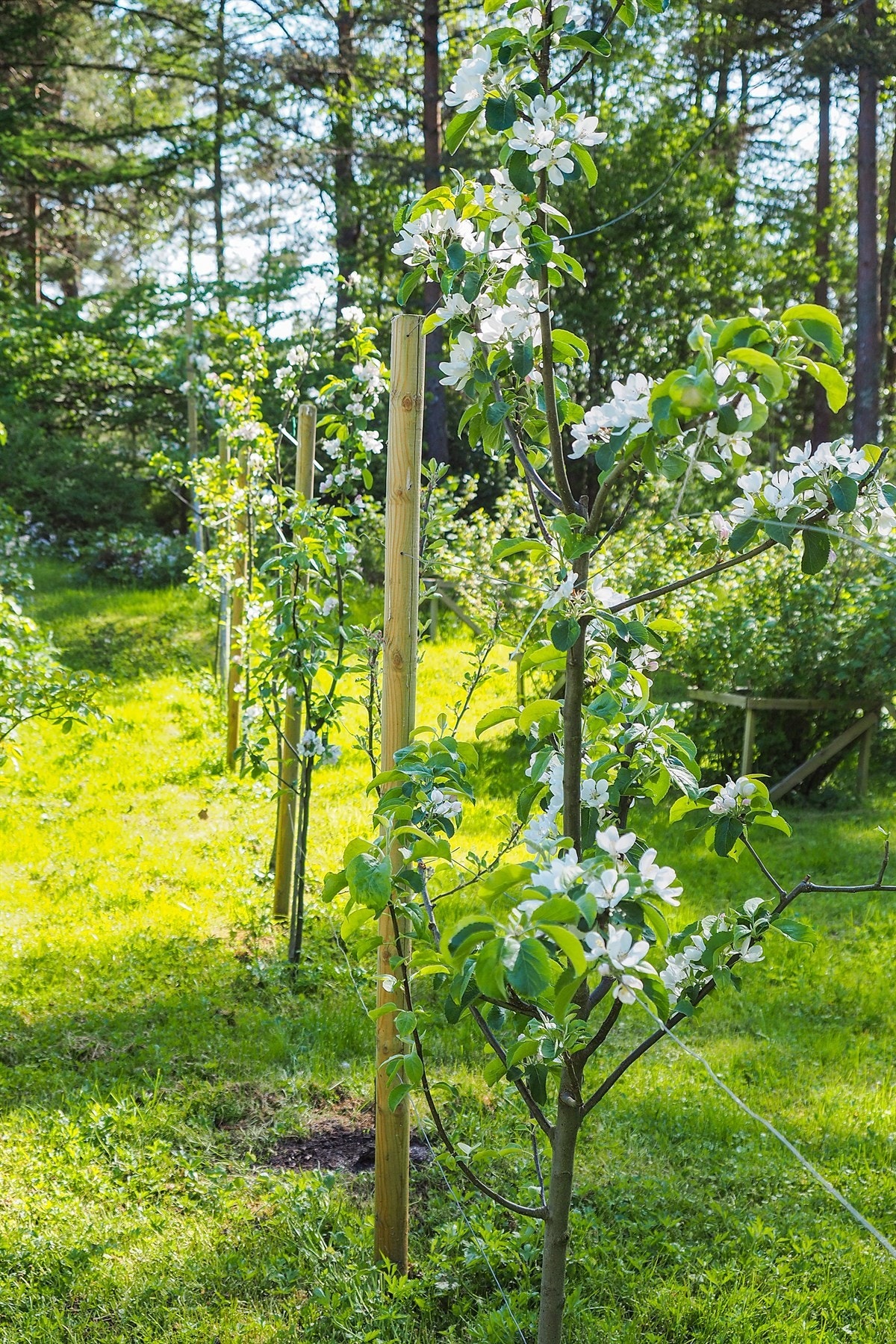 Proaktiv Eiendomsmegling Galleribilde