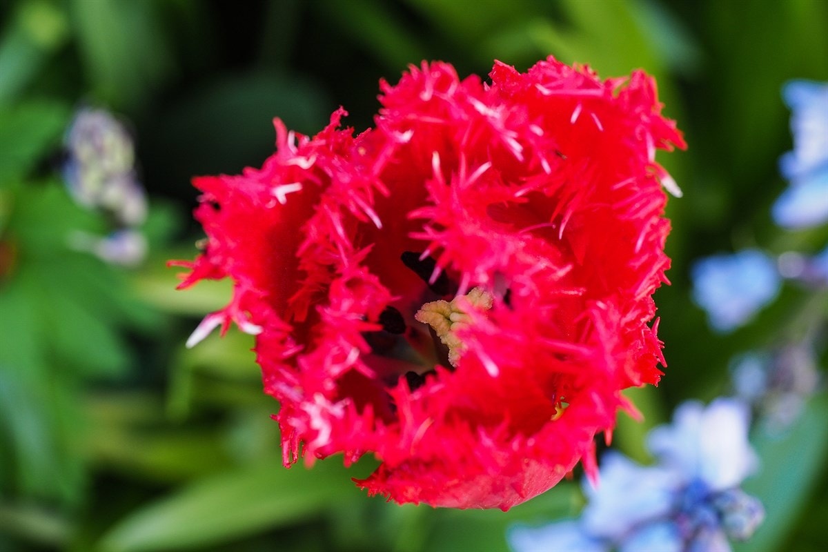 Proaktiv Eiendomsmegling Galleribilde