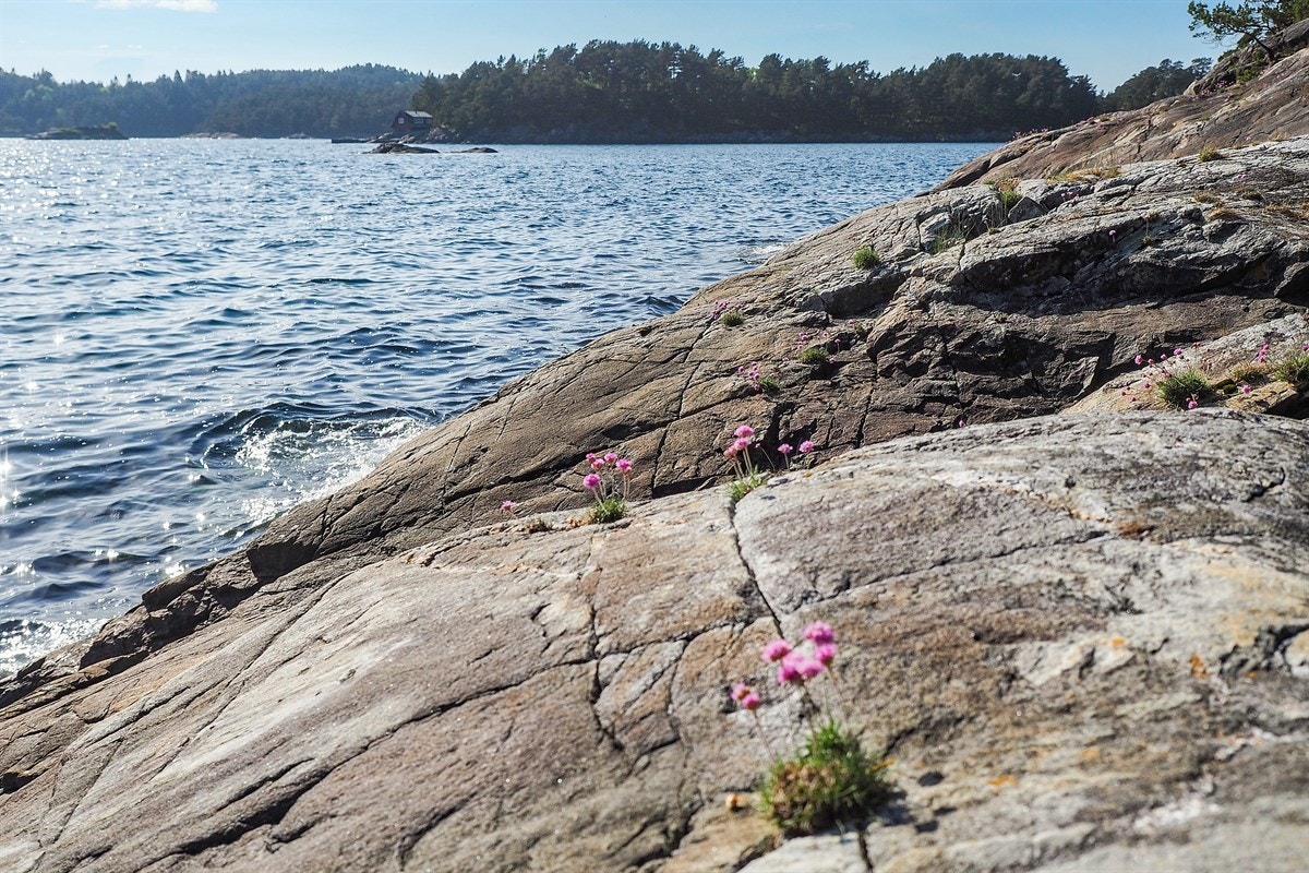 Proaktiv Eiendomsmegling Galleribilde