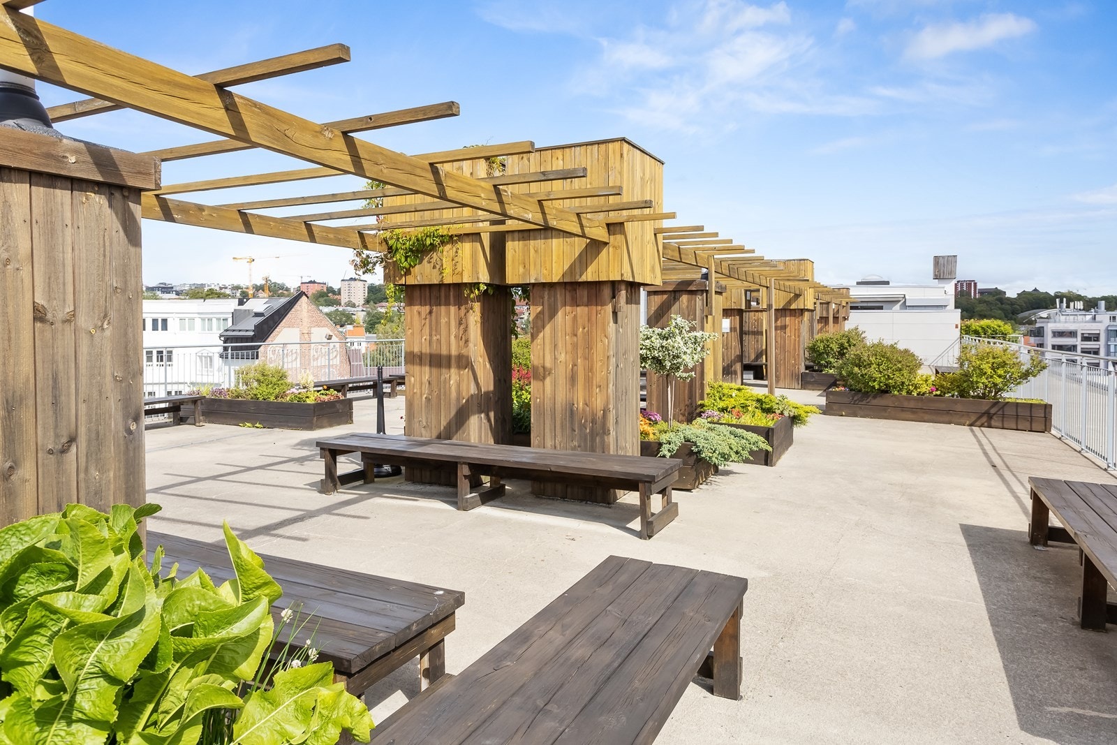 Borettslaget har en fantastisk felles takterrasse med flere sittegrupper og beplantning Galleribilde