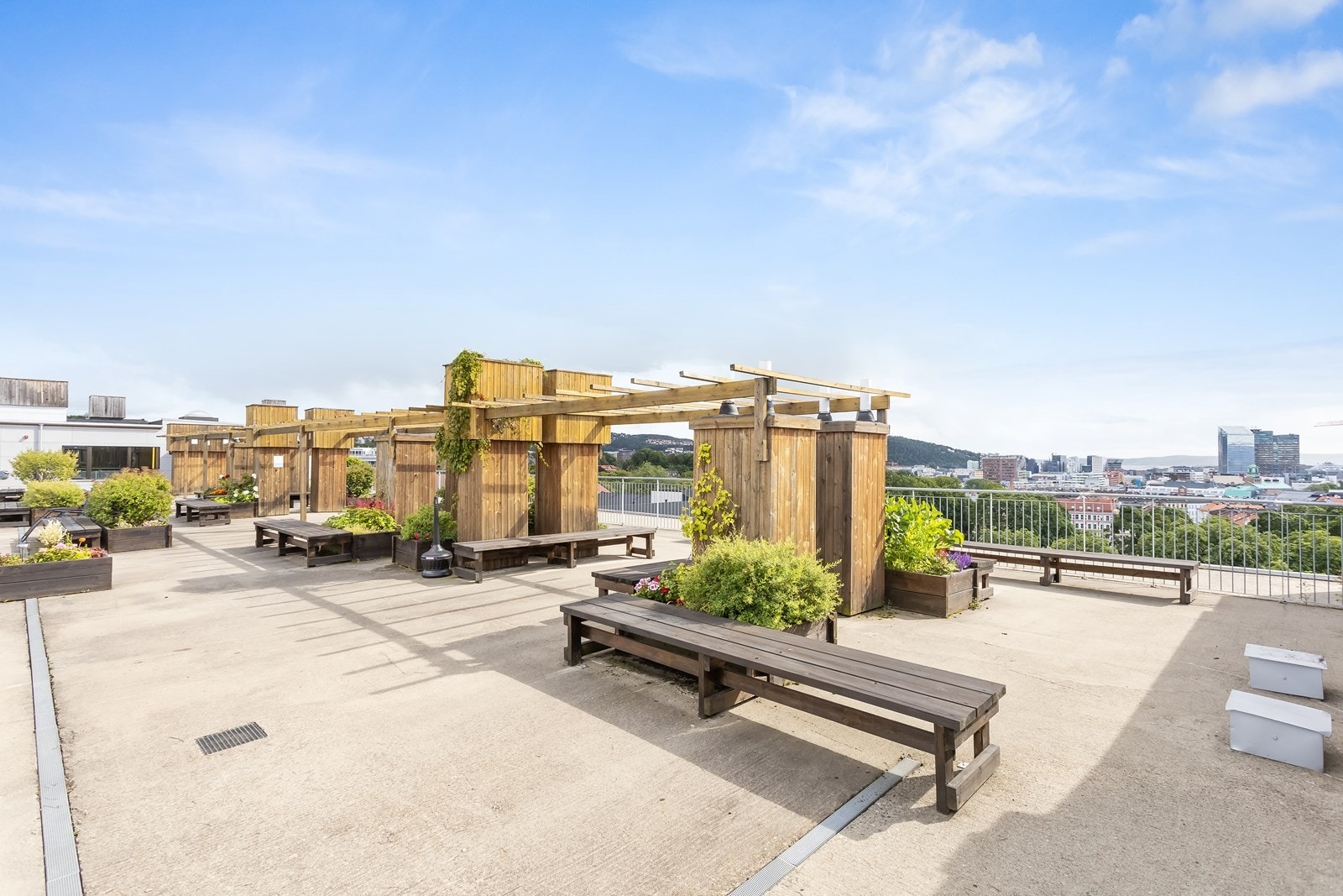 Sol hele dagen! Galleribilde