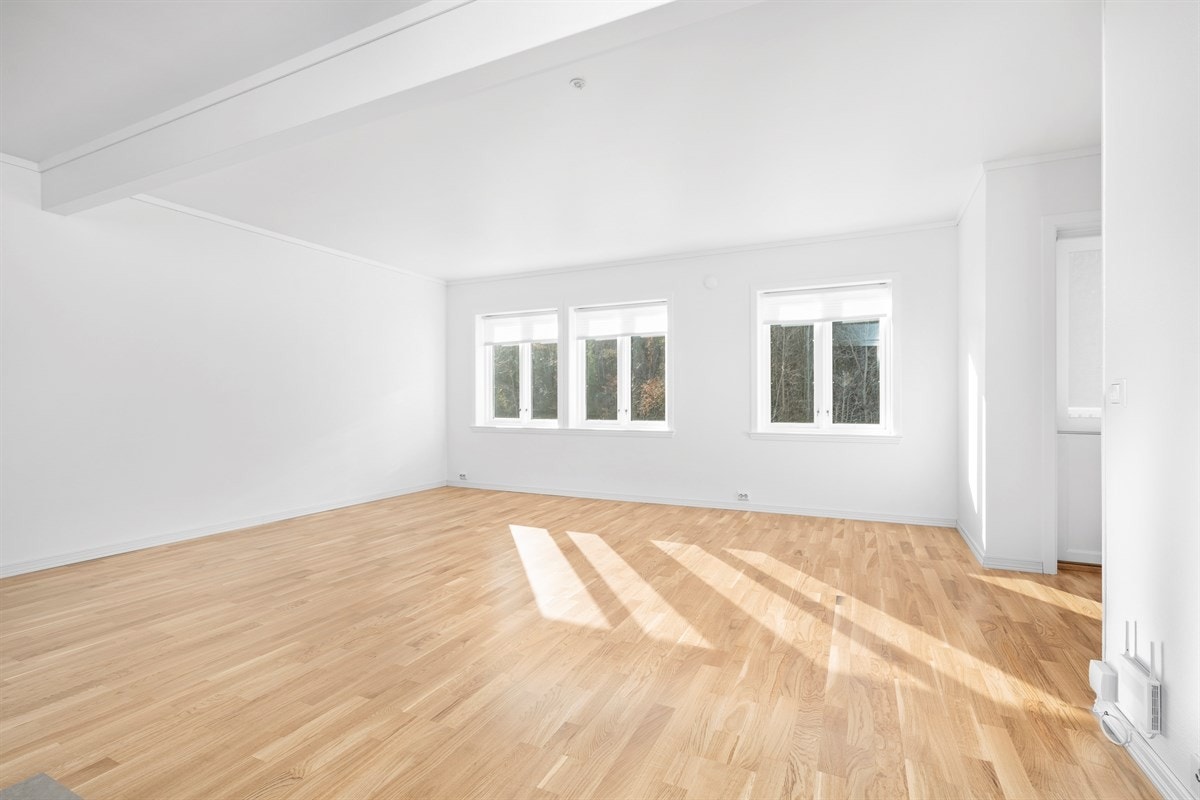 Stue med lyse flater og store vindusflater Galleribilde