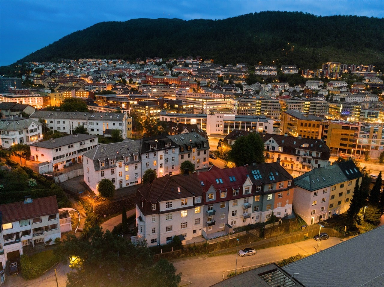 Trivelig nabolag med tilsvarende bebyggelse. Galleribilde