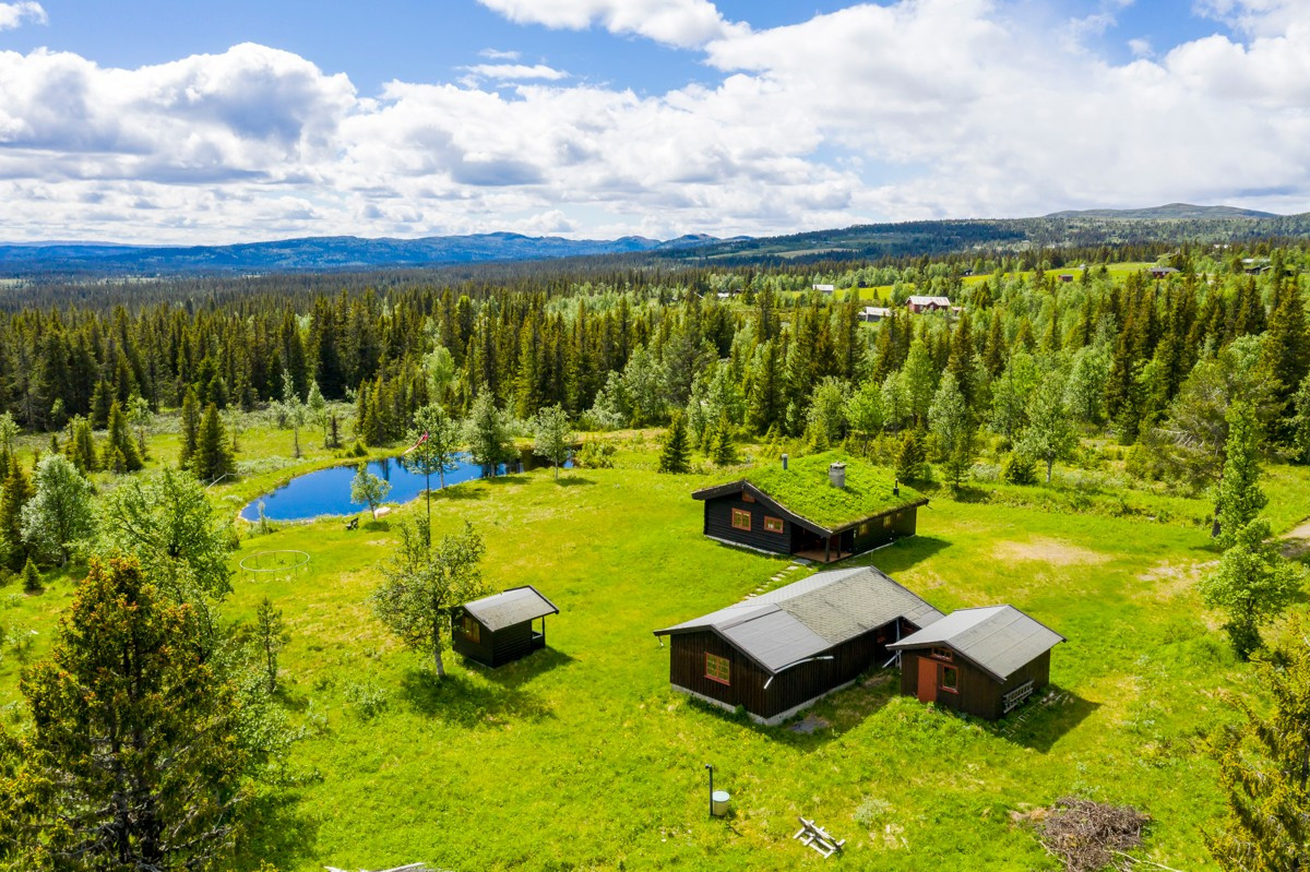 Rolig og harmonisk eiendom med med eget tjern på tomten.