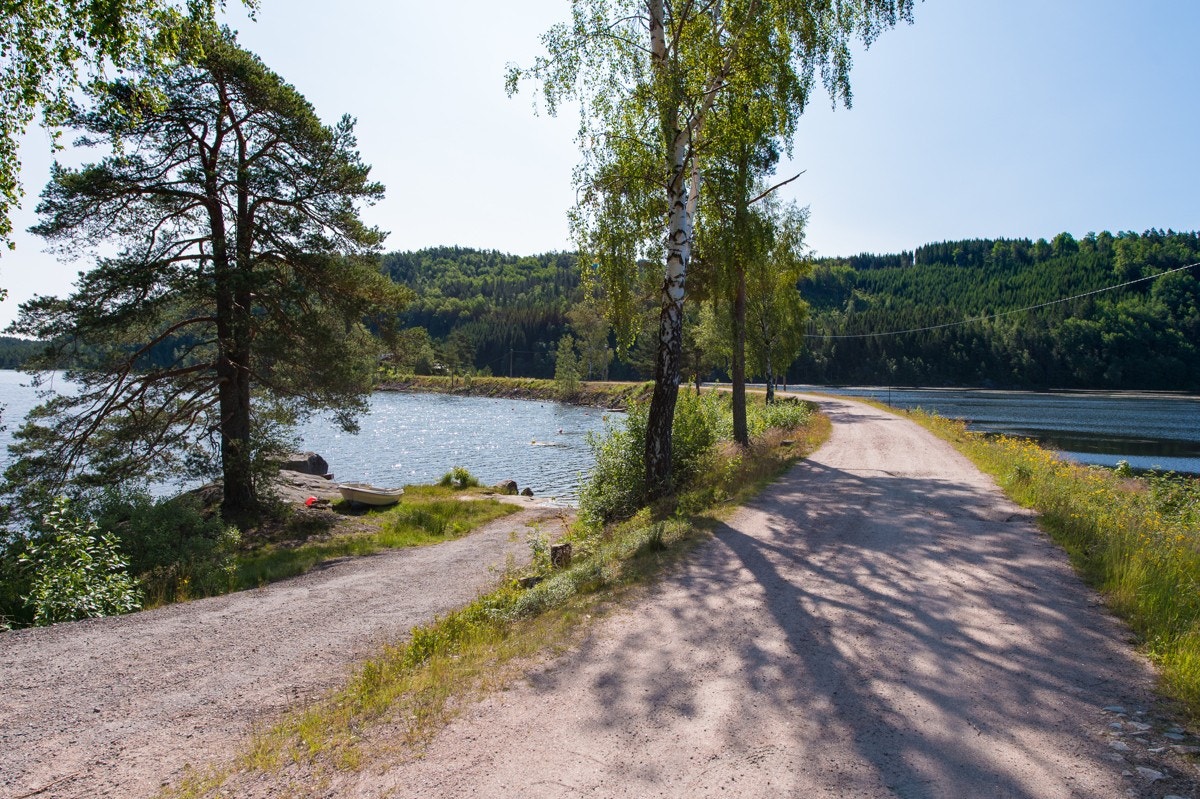 Innkjørsel til eiendommen. Galleribilde
