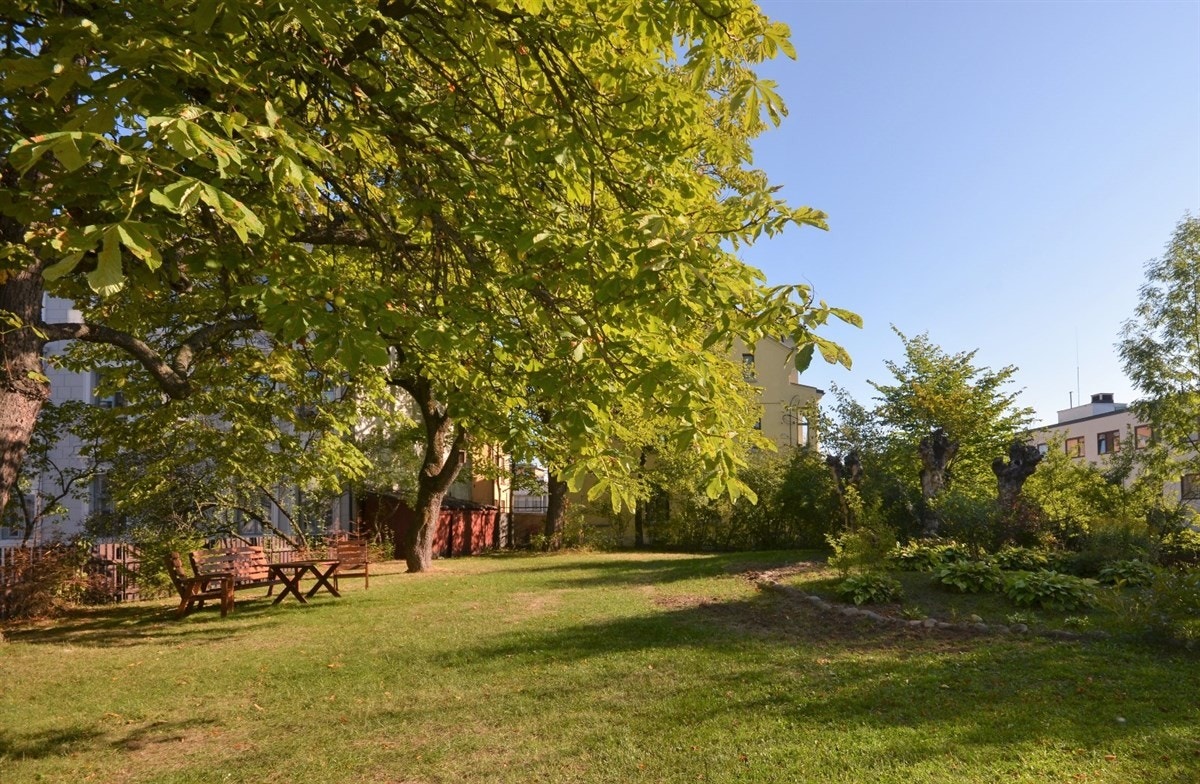 Store, flotte trær. Galleribilde