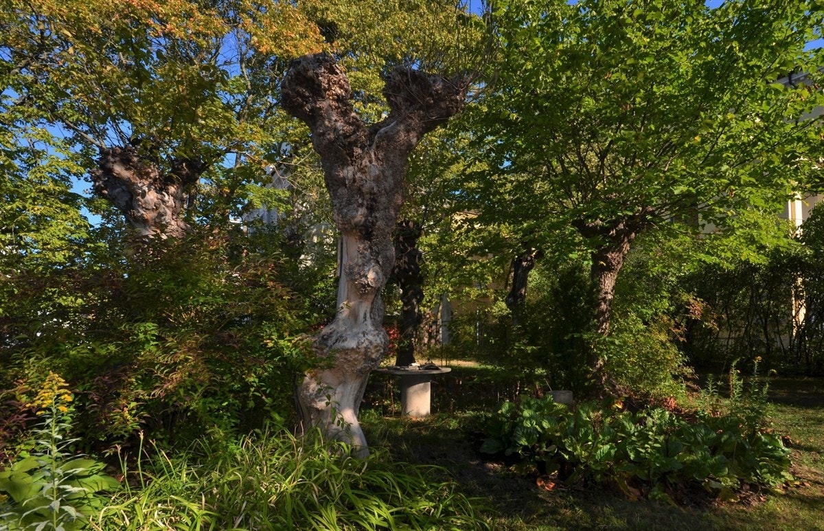 En grønn oase i byen. Galleribilde