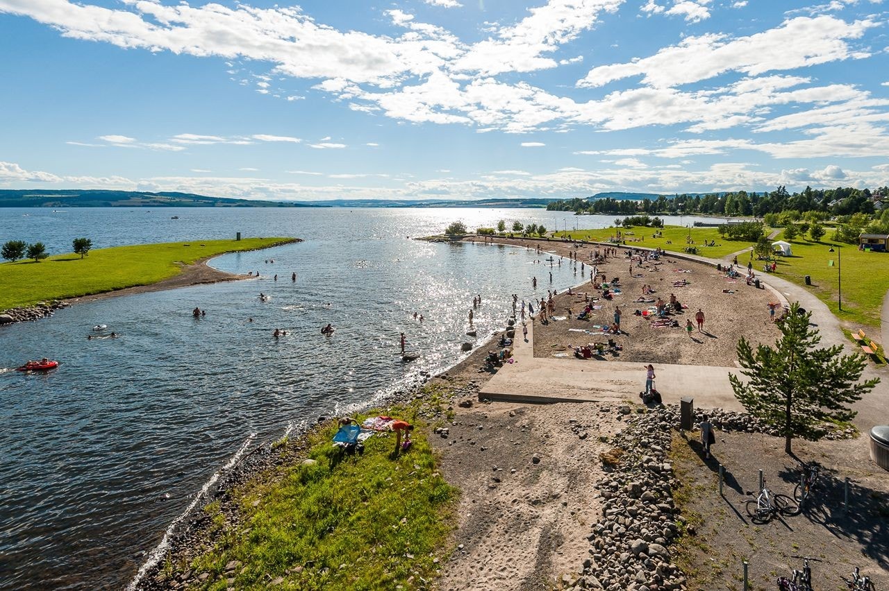 Sommeridyll på Koigen Galleribilde
