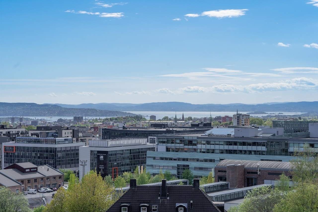 Flott utsikt over Oslo Galleribilde