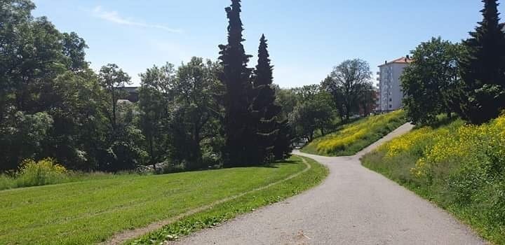 Gangavstand til flere parker og friarealer. Her fra Akerselva. Galleribilde