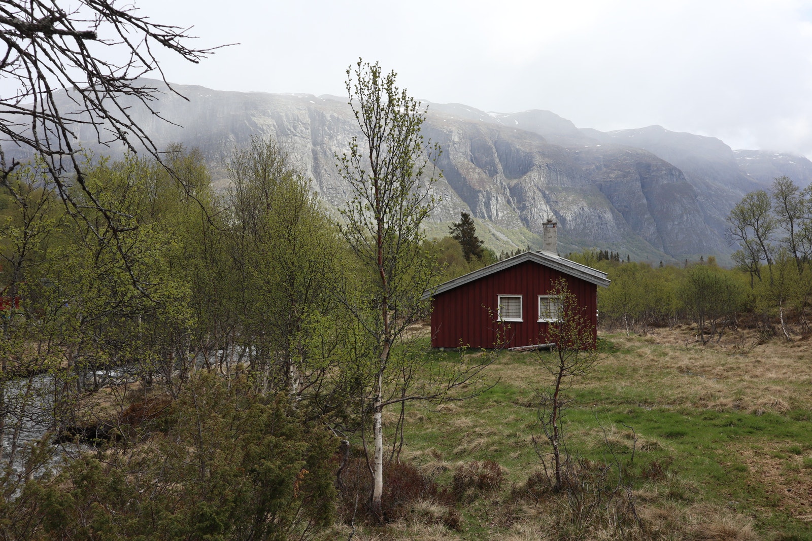 Støl i Rødalen Galleribilde