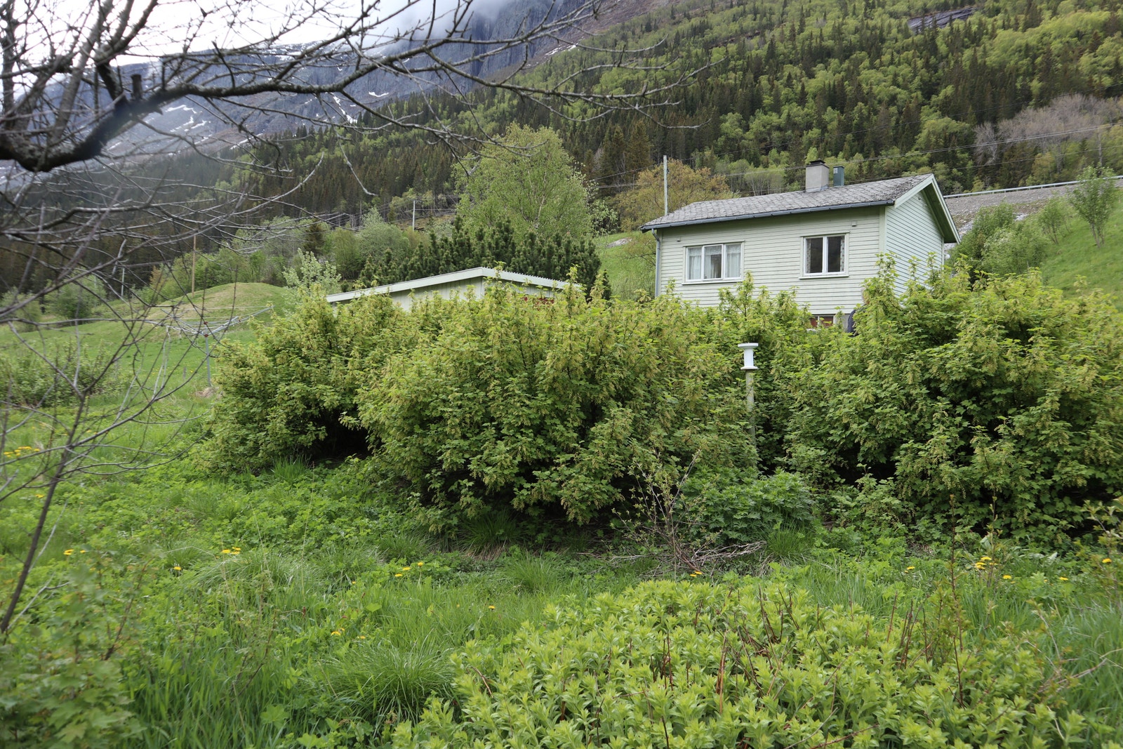 Hytte/kårbolig Galleribilde