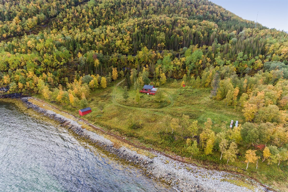Velkommen til Kjettnesveien 343 - En fritidseiendom med stor boltreplass i vakre naturomgivelser.