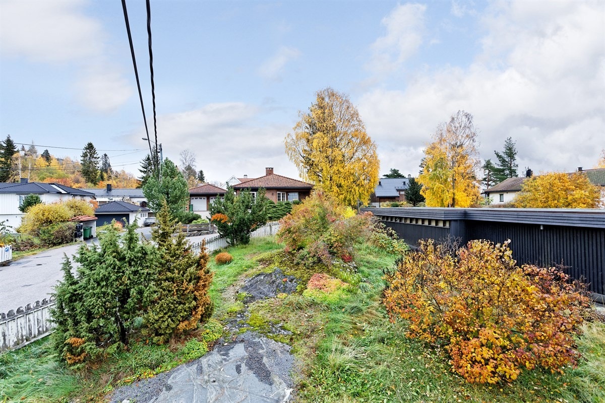 trollstigen19_22 Galleribilde