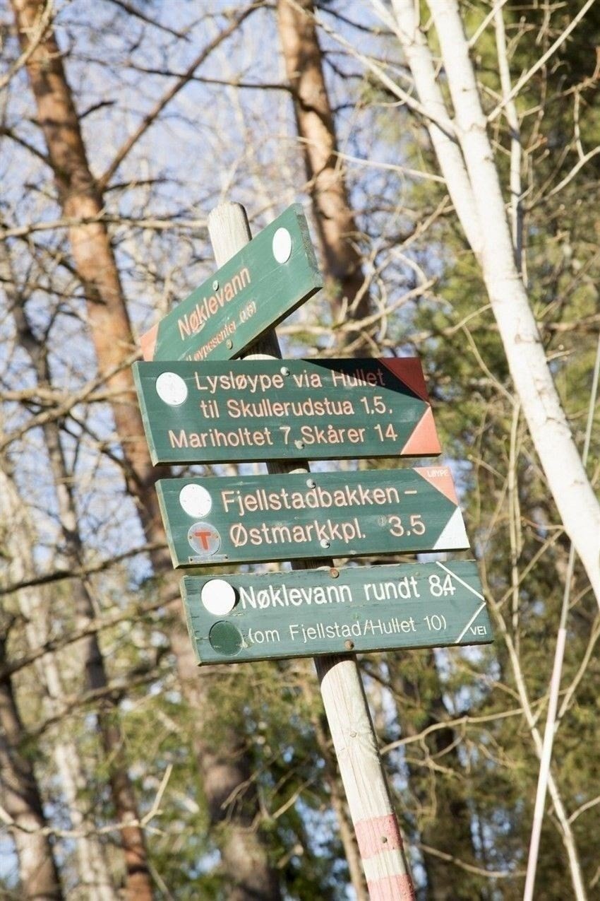 Østmarka har et mylder av turmuligheter, enten man er til fots, sykkel eller på ski. Galleribilde