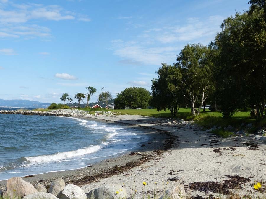 Hansbakkfjæra, bare ned et par bakker fra huset. Galleribilde